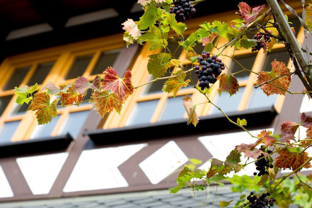 Landgasthof Rebstock Sankt Goar Exteriér fotografie